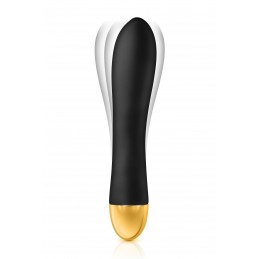 My Mistress Vibromasseur...