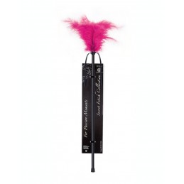 Plumeau  Caresse Fushia