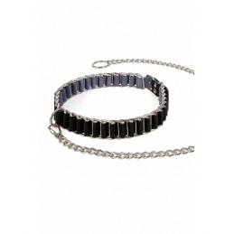 Collier et Laisse...