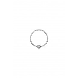 Cockring Single Torc Anneau...