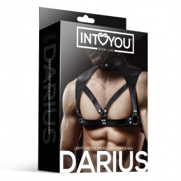 Votre Loveshop à Chartres 28 Jadelingerie-Chartres Darius Chest